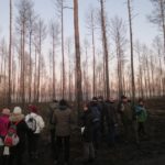 Teilnehmer*innen der Trainingswoche besichtigen abgebrannte Waldflächen, Treuenbrietzen, © A.-Dichte